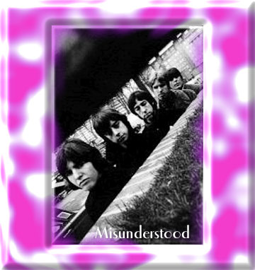 Click here for the Band's story from Before the Dream Faded album 